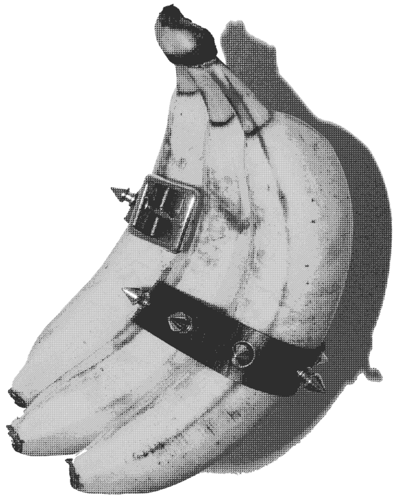 bannnasa